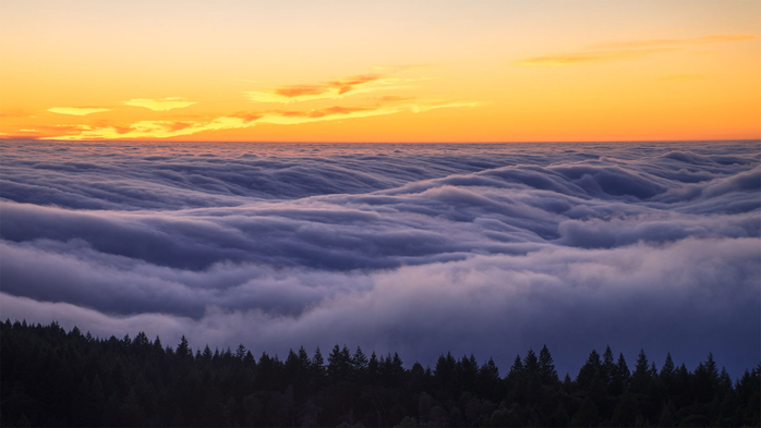Fog over Mount Tamalpais State Park, California (700x393, 218Kb)