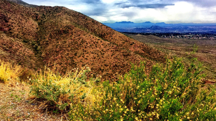 Franklin Mountains view with yellow wild flowers, El Paso, Texas, USA (700x393, 517Kb)