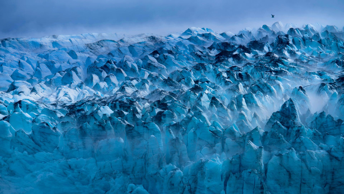 Lamplugh Glacier in Glacier Bay National Park and Preserve, Alaska (700x393, 373Kb)