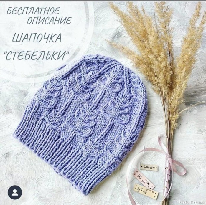 shapochka-s-uzorom-stebelki.-images-big (700x696, 161Kb)
