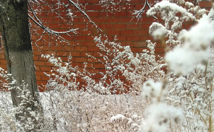 _2023-11-26_175738152 (700x432, 638Kb)