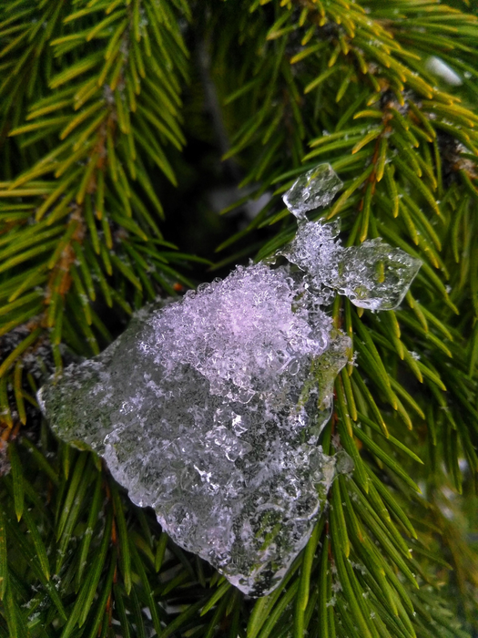 _2023-11-26_180339734 (525x700, 662Kb)