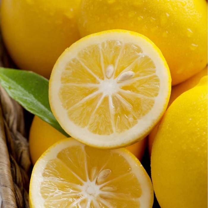 2835299_limon (700x700, 256Kb)