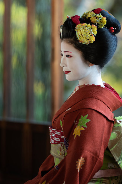 0-flickr_maiko_74605e548be7210c3 (466x700, 68Kb)