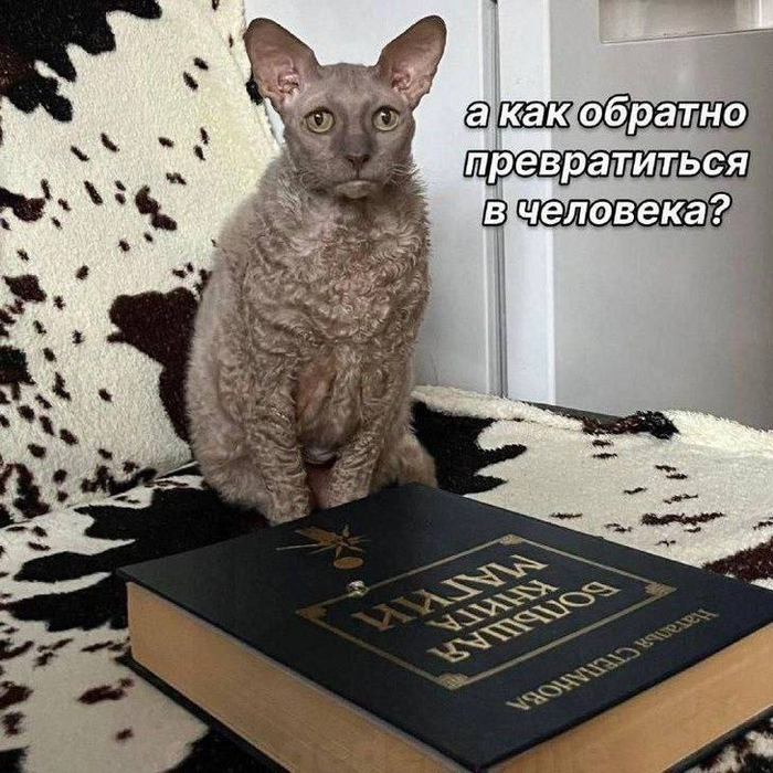IMG_0236 (700x700, 451Kb)