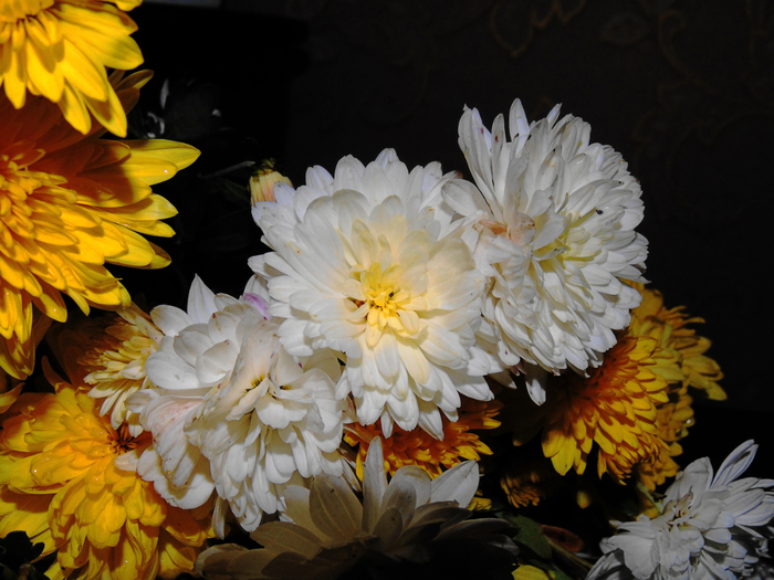 macro (20) (700x525, 395Kb)