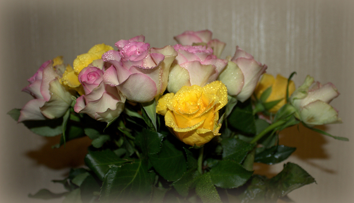 macro (191) (700x401, 307Kb)