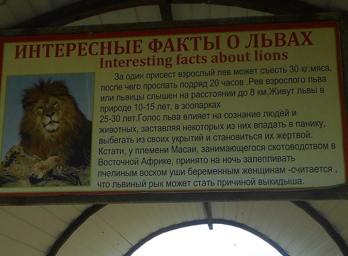 4752699_DSCN0019ataga (700x515, 127Kb)