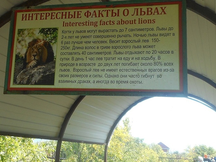 4752699_DSCN0023tagi (700x524, 142Kb)
