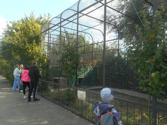 4752699_DSCN0116tag (700x525, 330Kb)