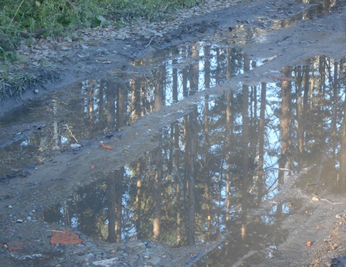 4533467_DSCN6528 (700x541, 155Kb)