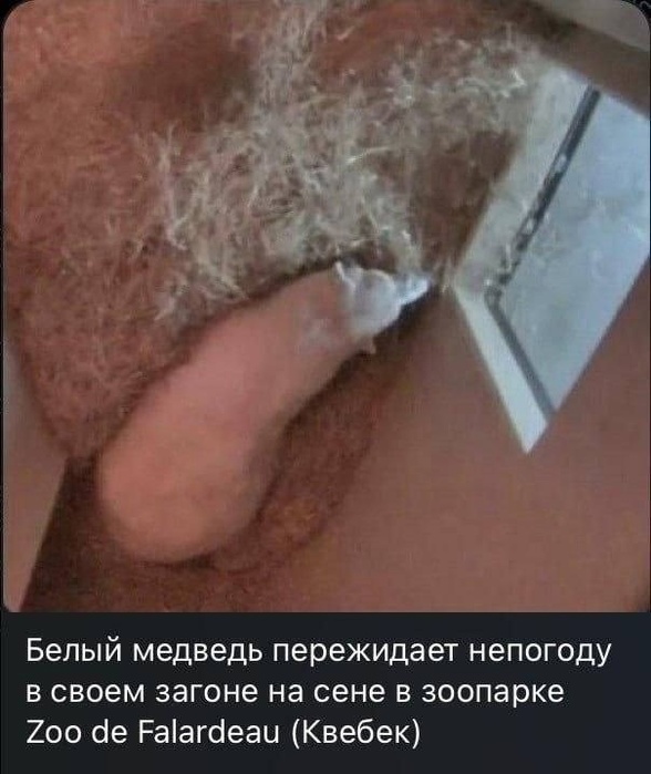   (588x700, 104Kb)