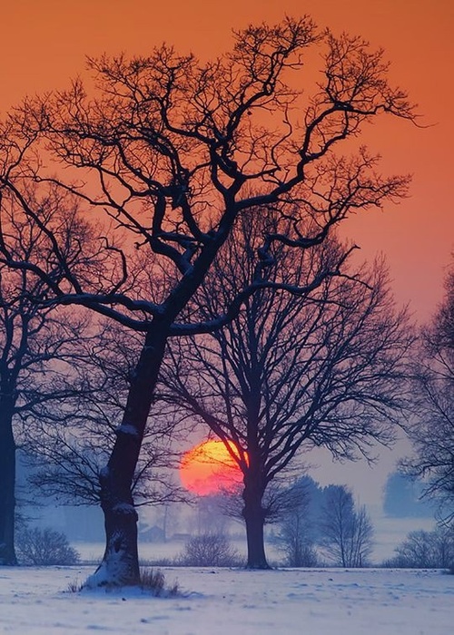  (500x700, 183Kb)