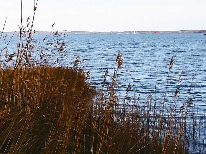 IMG_20241114_124941759 (700x525, 482Kb)