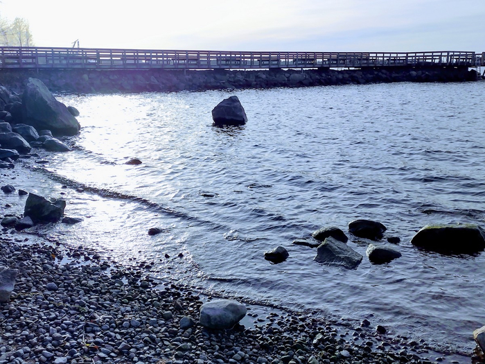IMG_20241114_131751882_HDR (700x525, 464Kb)