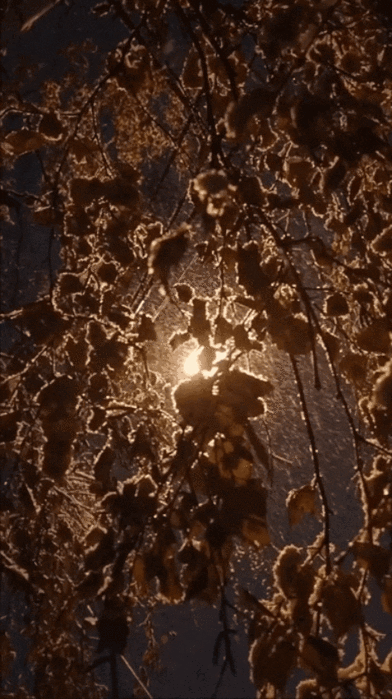   Gifius.ru (1) (392x700, 2760Kb)