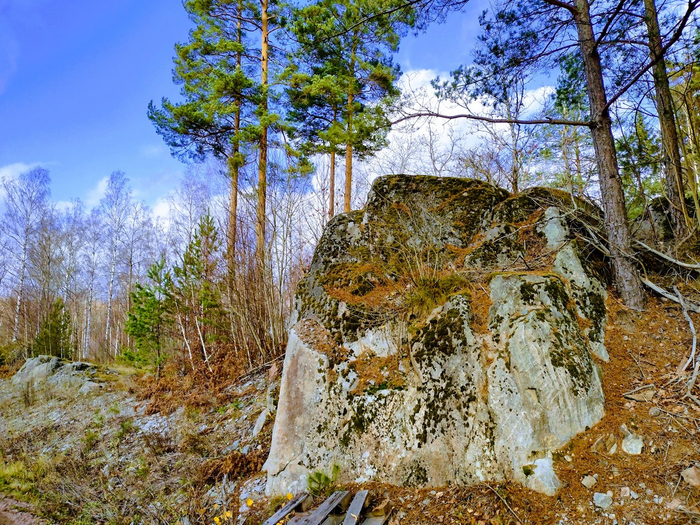 IMG_20241116_120942122_HDR (700x525, 630Kb)