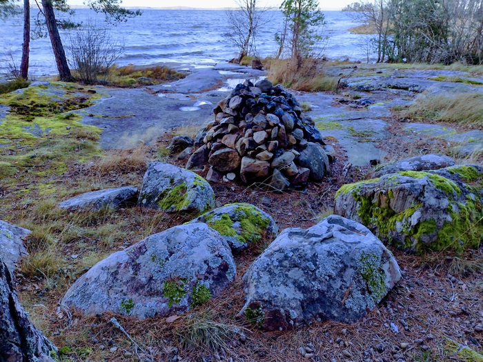 IMG_20241116_125642376_HDR (700x525, 564Kb)