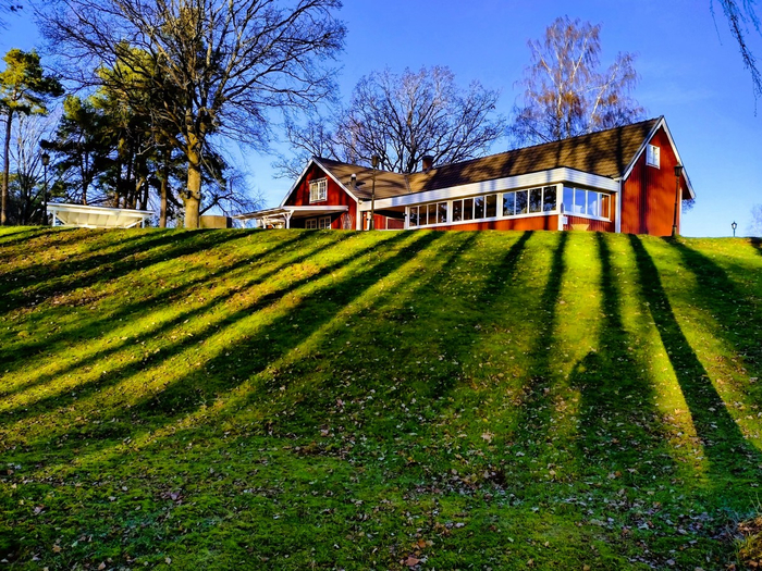 IMG_20241118_141608937_HDR (700x525, 617Kb)