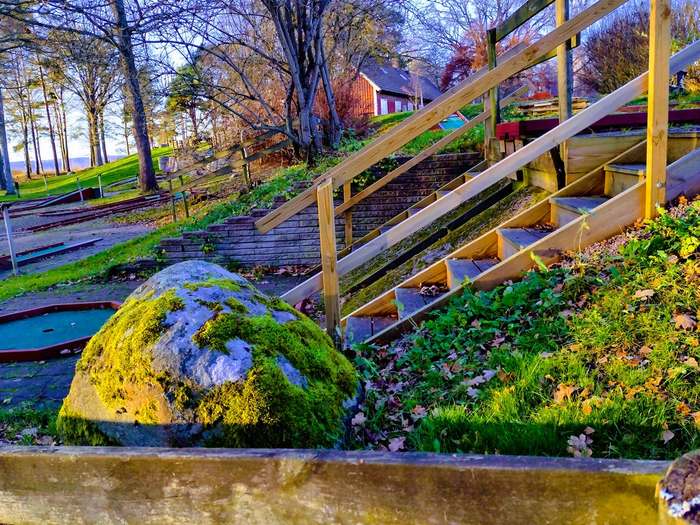 IMG_20241118_142018410_HDR (700x525, 647Kb)