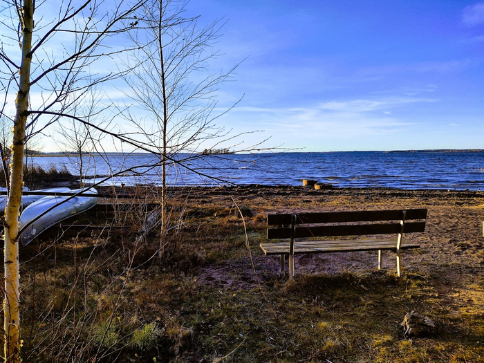 IMG_20241118_143012640_HDR (700x525, 521Kb)