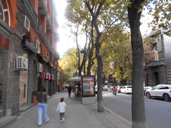 4878453_DSCN8595er (700x525, 299Kb)