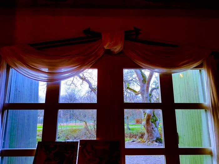 IMG_20241126_131703252_HDR (700x525, 354Kb)