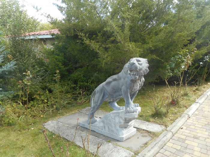 4752699_DSCN0236tigra (700x525, 345Kb)