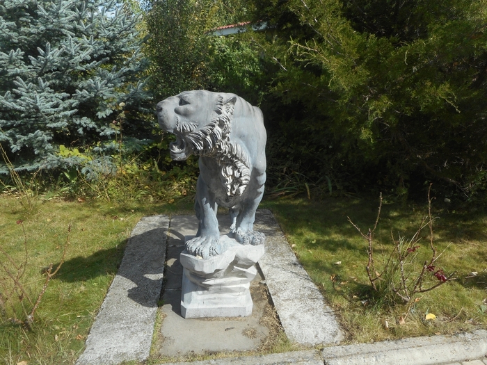 4752699_DSCN0235tigra (700x525, 345Kb)
