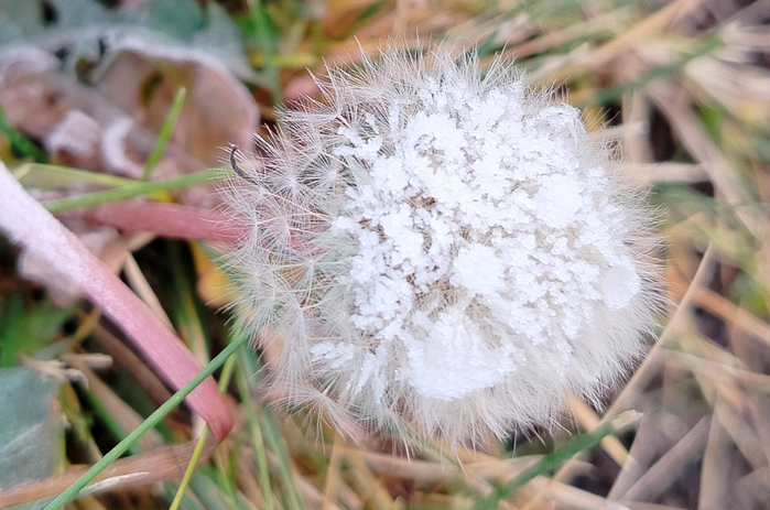 0022 (700x463, 540Kb)