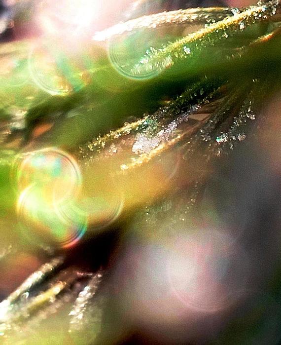 0024 (570x700, 64Kb)