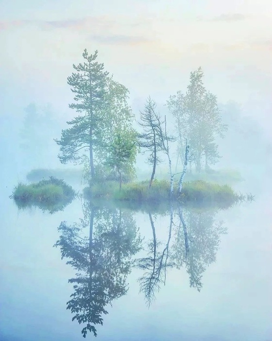  (560x700, 107Kb)