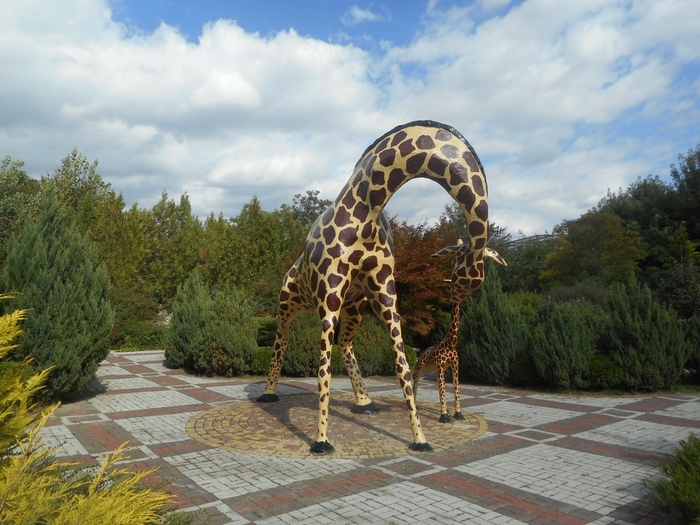 4752699_DSCN0673tag (700x525, 299Kb)