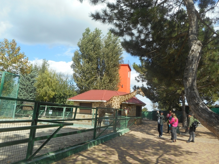4752699_DSCN0368tag (700x525, 337Kb)