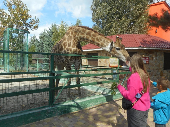 4752699_DSCN0370tag (700x525, 346Kb)