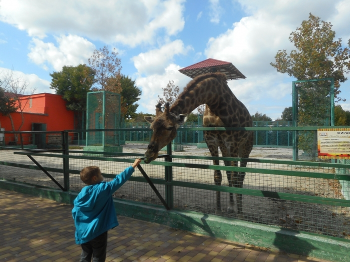4752699_DSCN0374tag (700x525, 302Kb)