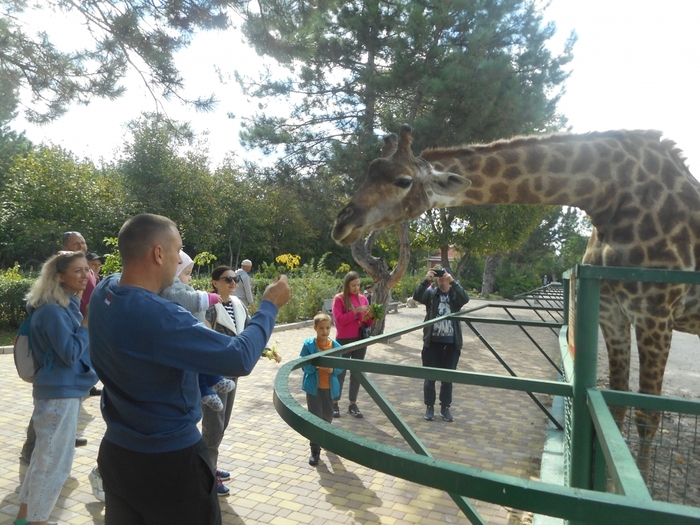 4752699_DSCN0380tag (700x525, 310Kb)