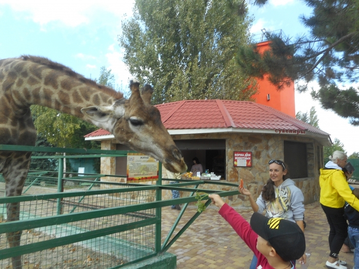 4752699_DSCN0404tag (700x525, 311Kb)