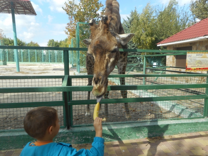 4752699_DSCN0400tag (700x525, 322Kb)