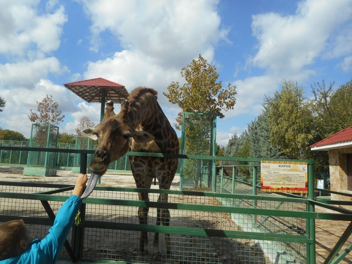 4752699_DSCN0372tag (700x525, 309Kb)