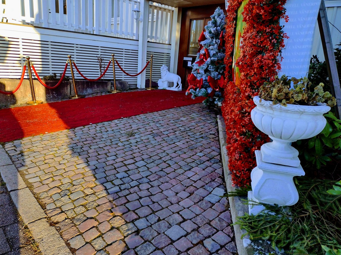 IMG_20241203_123409033_HDR (700x525, 558Kb)