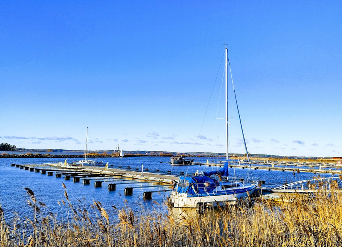 IMG_20241203_125002425_HDR (700x505, 422Kb)