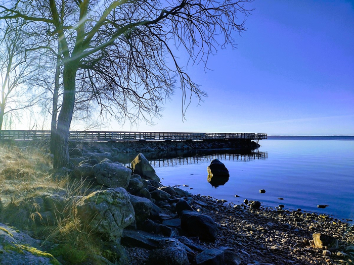 IMG_20241204_124505439_HDR (700x525, 494Kb)