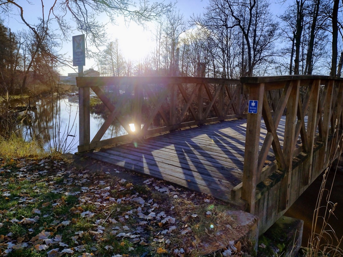 IMG_20241209_115927922_HDR (700x525, 488Kb)