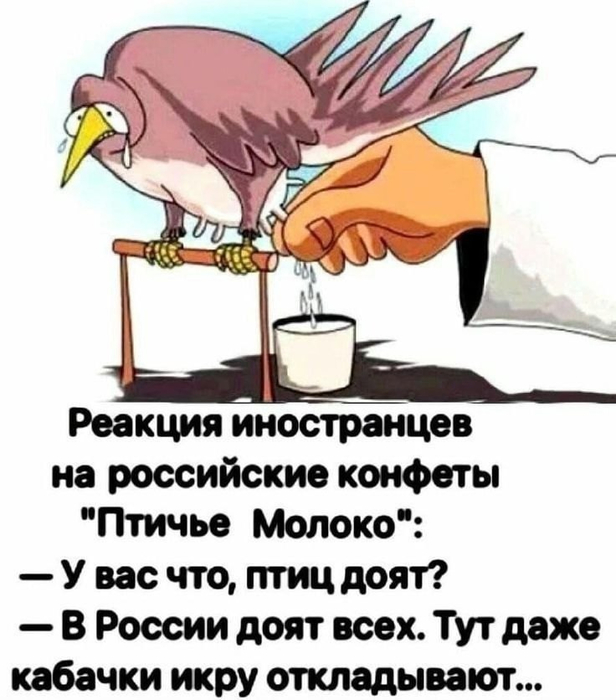 E4GDpzk8yXo (616x700, 245Kb)