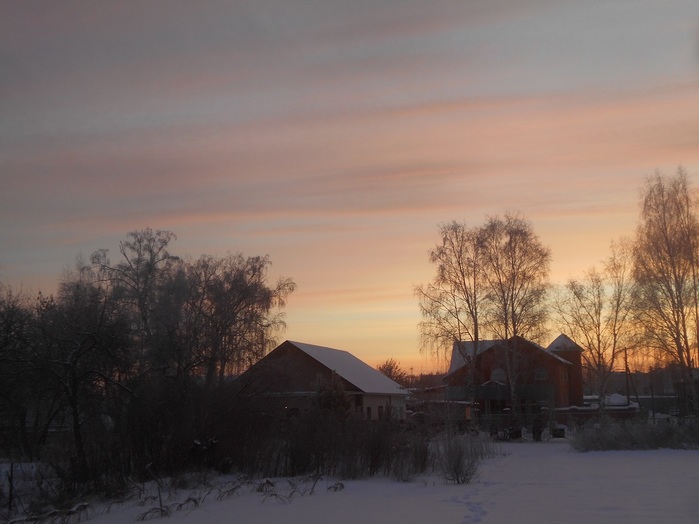 4533467_DSCN6973 (700x524, 80Kb)