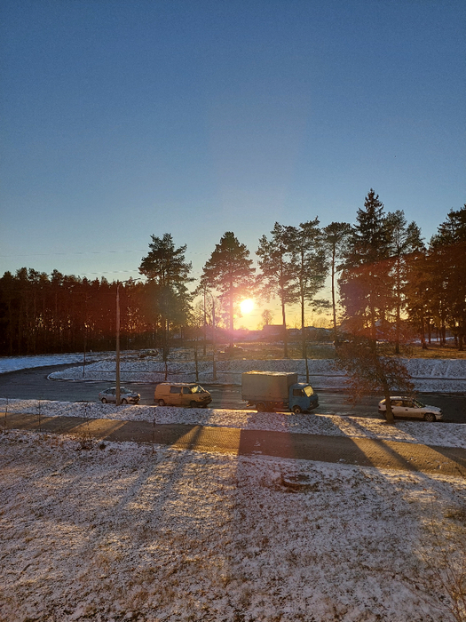 20241213_155612 (525x700, 462Kb)