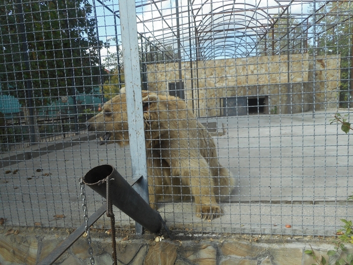 4752699_DSCN0476tag (700x525, 345Kb)