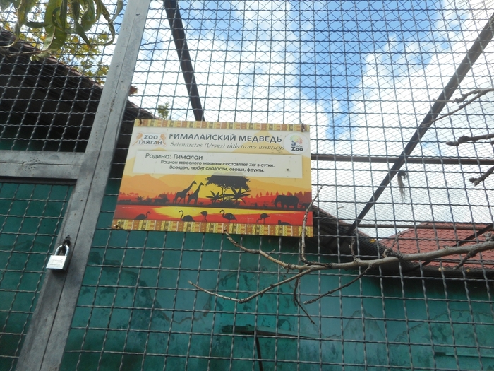 4752699_DSCN0642tag (700x525, 340Kb)