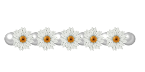 7692303 (300x150, 15Kb)